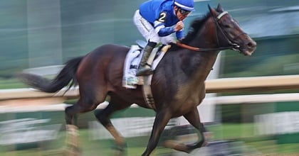 Sovereignty, Journalism Square Off At Arkansas' Oaklawn Park