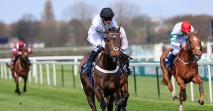 Punchestown Festival Tips: Best Bets For Friday