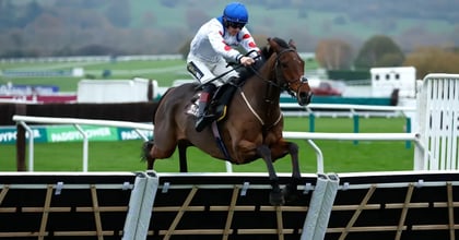 Cheltenham Festival 2025 Odds: Tips For Every Race On Day 2