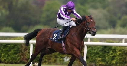 Saturday Racing Tips - Delacroix Could Surprise In Eclipse
