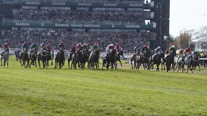 How to Bet on the Grand National