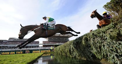 The Ultimate Grand National Sweepstake Guide