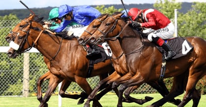 Comprehensive Guide to Lay Betting Strategy