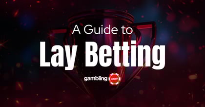Comprehensive Guide to Lay Betting Strategy