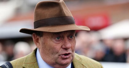 Nicky Henderson Offers Up Two Big-Priced Plays From His Cheltenham Entries