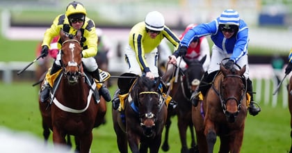Punchestown Festival Tips: Best Bets On Saturday