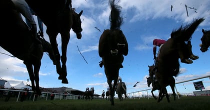 Punchestown Festival Tips: Best Bets For Day Two
