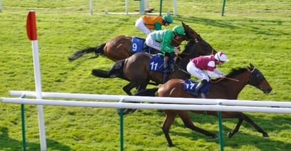 How to Integrate Tricast and Forecast Bets into Horse Betting Strategy