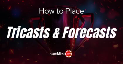 How to Integrate Tricast and Forecast Bets into Horse Betting Strategy