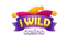 iWild Casino