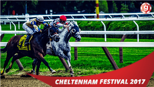 Ultimate Guide to the Best Bets of Cheltenham Festival 2017