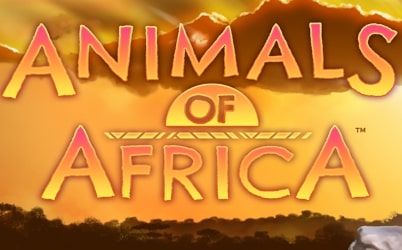 Animals of Africa Online Slot