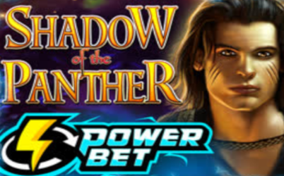 Shadow of the Panther Power Bet Online Slot
