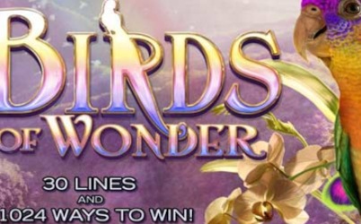 Birds of Wonder Online Slot
