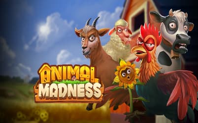 Animal Madness Online Slot