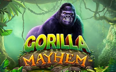 Gorilla Mayhem Online Gokkast