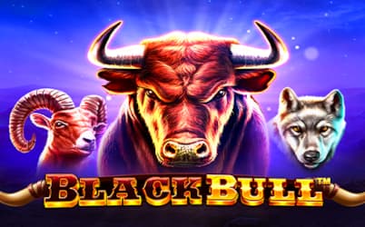 Black Bull Spielautomat
