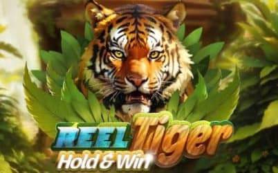 Reel Tiger Spielautomat