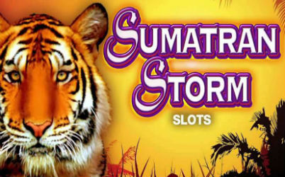 Sumatran Storm Online Slot