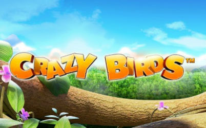 Crazy Birds Online Slot