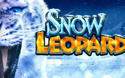 Snow Leopard Online Slot