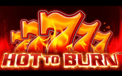 Hot to Burn Online Slot