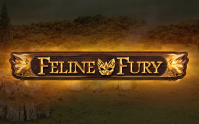 Feline Fury Online Slot