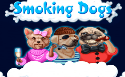 Smoking Dogs Online Slot