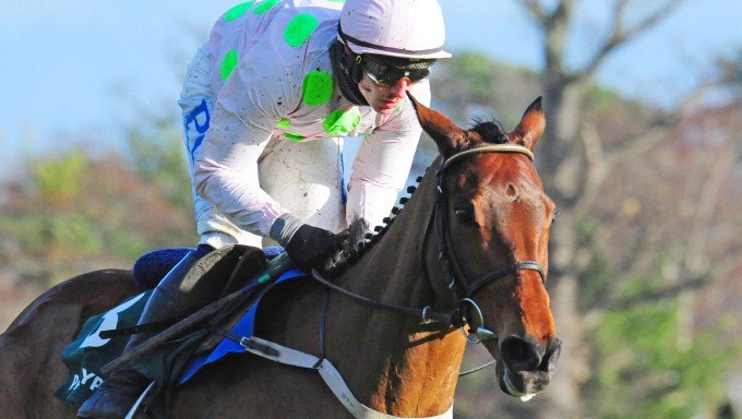David Mullins: Why Chacun Pour Soi is Made for Cheltenham