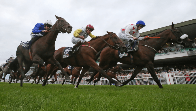 Galway Races 2021 Tips, Odds and Analysis
