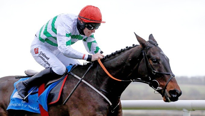 Albert Bartlett Novices’ Hurdle Tips: 2024 Betting Preview &amp; Trends