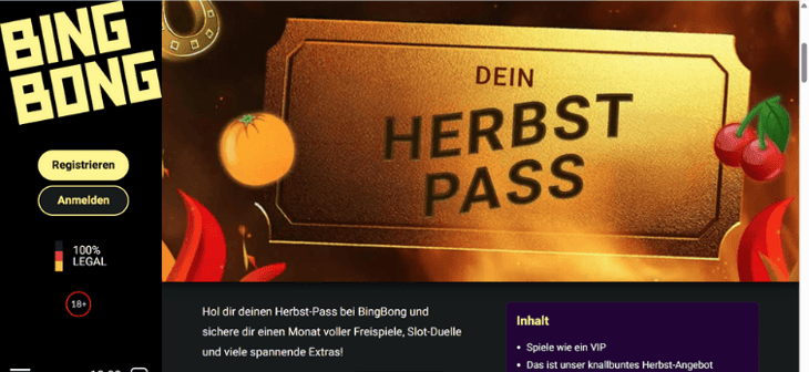 BingBong - Herbst Pass